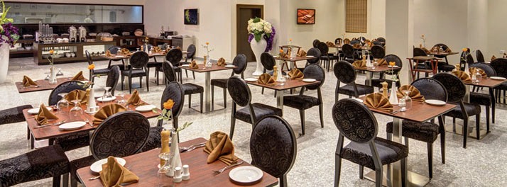 884/Ramada Neemrana-Jaipur Highway - Neemrana 08.jpg